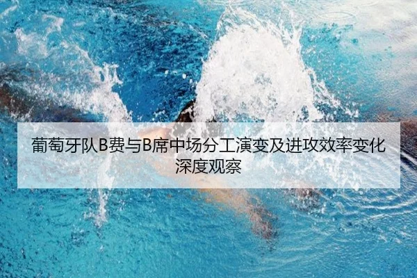 葡萄牙队B费与B席中场分工演变及进攻效率变化深度观察