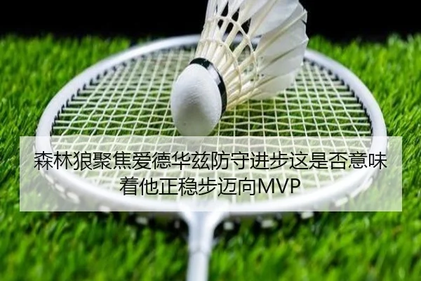 森林狼聚焦爱德华兹防守进步这是否意味着他正稳步迈向MVP
